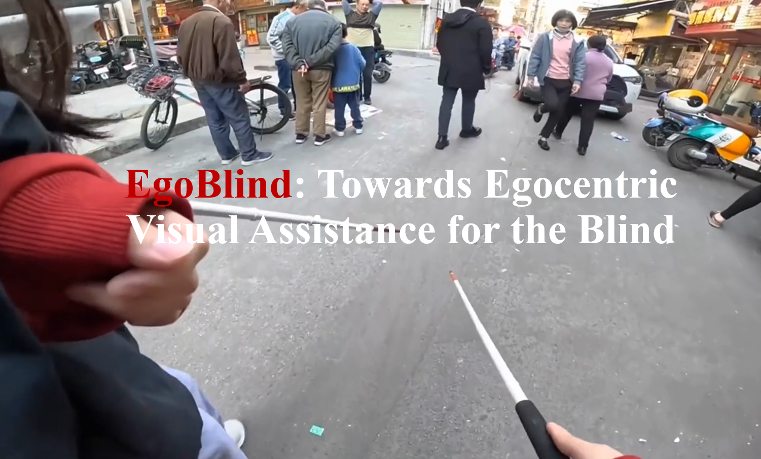 EgoBlind